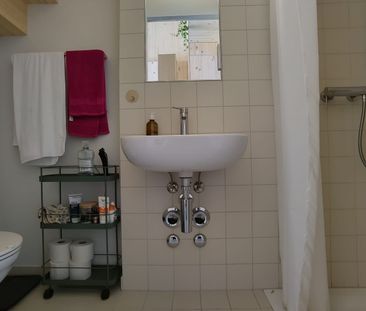 21/2 ROOM APARTMENT IN KAPPEL AM ALBIS (ZH), FURNISHED, TEMPORARY - Photo 5