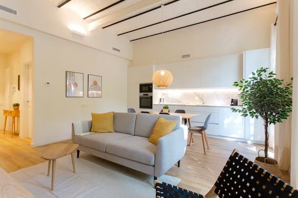 Passeig de Sant Joan, Barcelona, Catalonia 08010 - Photo 1