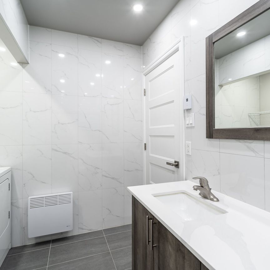 Condo for rent, Montréal (Le Plateau-Mont-Royal) - Photo 1