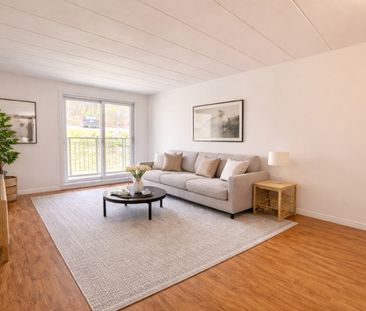 SUPERBE 4 1/2 RÉNOVÉ , GYM - A VOIR! - Photo 1