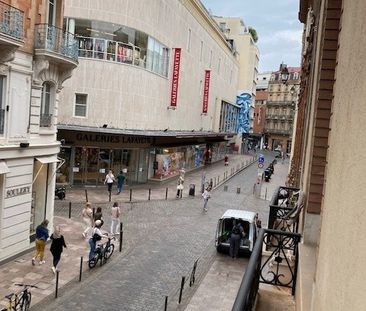 Appartement T2 meublé en location à Toulouse - Photo 6