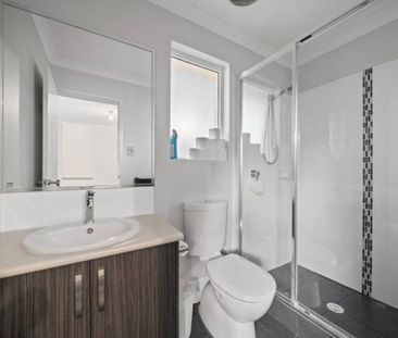 Walk your dog to the beach! - Photo 2