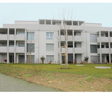 4.5 Zimmer, 115 m², EG - Foto 3