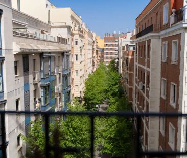 Madrid - Photo 4