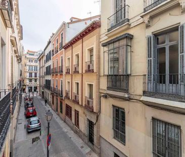 Calle de San Lorenzo, Madrid, Community of Madrid 28004 - Photo 2
