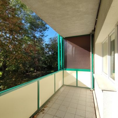 Böhlen, Waldstraße 13 - Photo 1