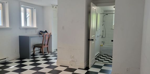 Grand 4 1/2 Devant HEC/UdeM Meublé - Photo 2