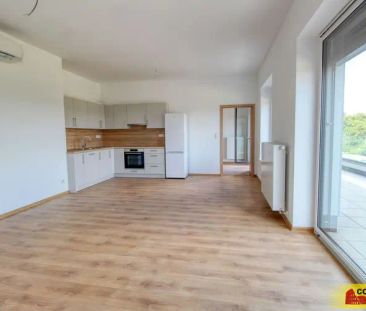 Znojmo, pronájem bytu OV 2+kk, 62 m - Photo 5
