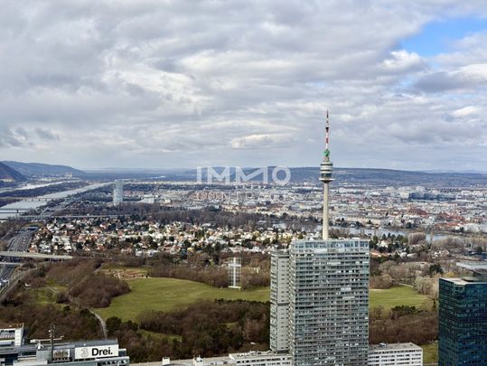 Vienna never sleeps: 50. Etage DC2 Tower: SKY RESIDENCES - Photo 1