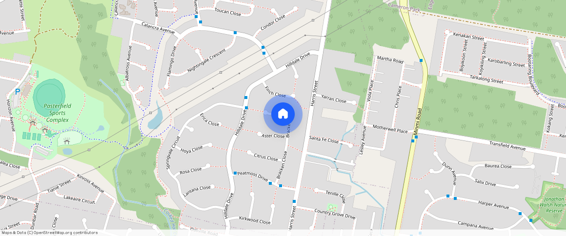 25 Bracken Close, NSW 2285, Cameron Park