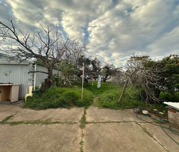 Torrensville - Photo 4