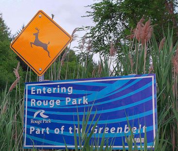 For Lease - 7439 Kingston Road Unit# 1010, Toronto, Ontario - Photo 6