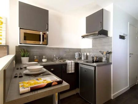 Premium Penthouse Studio - Photo 4