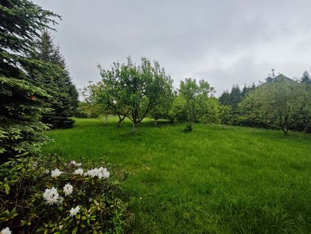 MIESZKANIE na WYNAJEM - Zdjęcie 2