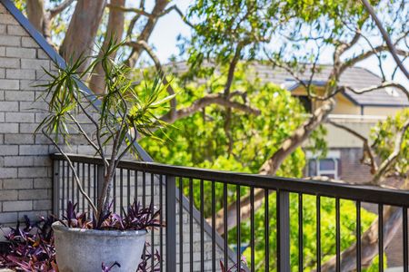 1/62 Grosvenor Street, Neutral Bay NSW 2089 - Townhouse For Rent | Domain - Photo 2