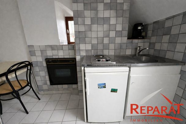 Location Appartement 1 pièce 20m² BRIVE LA GAILLARDE 19100 - Photo 1