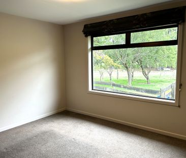 Lifestyle Property - Photo 3