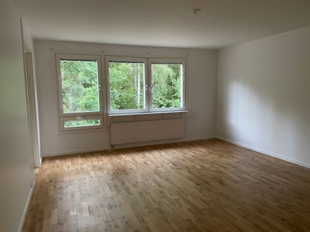 Tallrisvägen 2 P - Photo 5