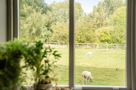 3 bedroom apartment to rent - Photo 2