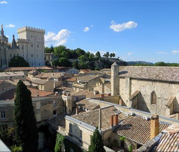 AVIGNON INTRA MUROS: Terrasse avec vue unique sur le Palais des Pap... - Photo 3