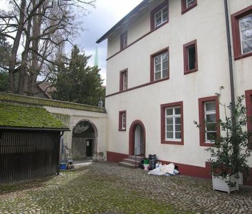 Beautiful 1-room apartment right by Joggeli - Photo 6