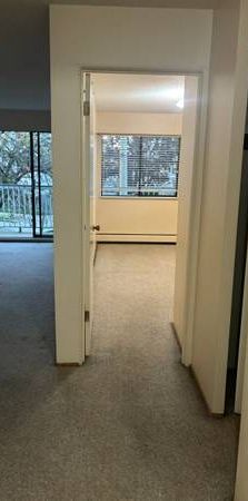 Kitsilano one bedroom for rent - Photo 1