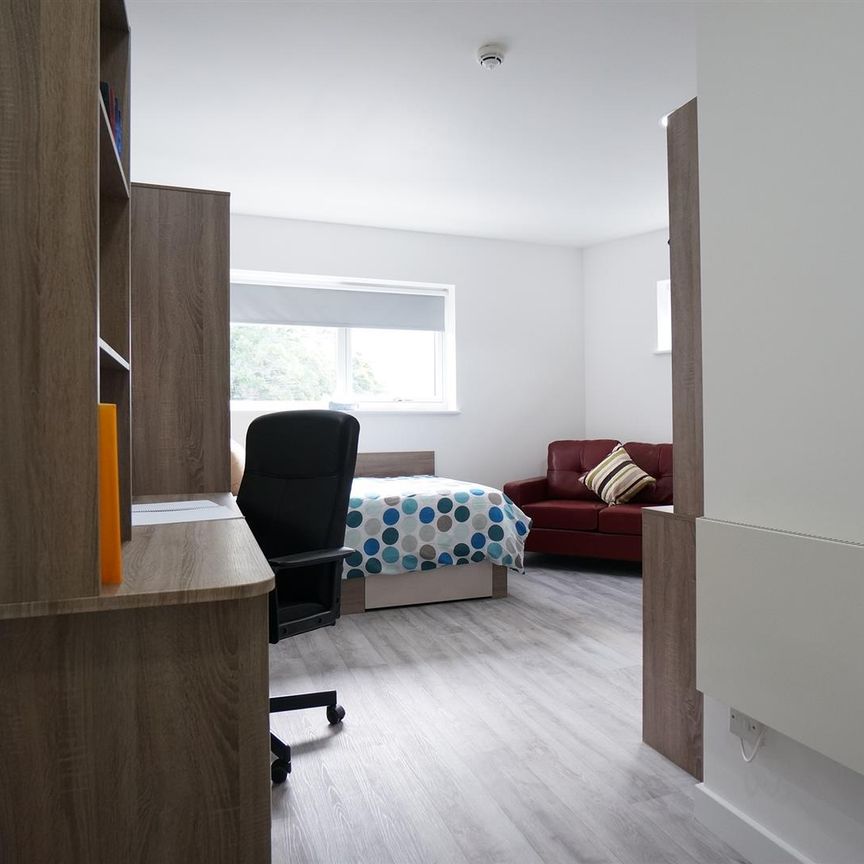 C4, 1 College Road - Photo 1