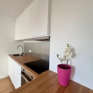 Lichtdurchflutete 2-Zimmer-Dachgeschosswohnung mit traumhaftem Grünblick im 13. Bezirk - Photo 1