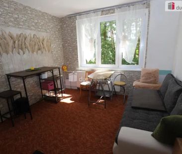 Krásný útulný vybavený byt 1+1 ve zvýšeném přízemí panelového domu ... - Photo 5