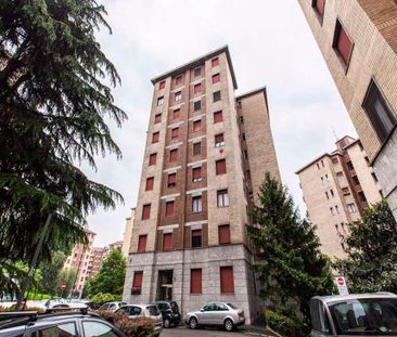 Via Salvatore Barzilai, Milan, Lombardy 20146 - Photo 4