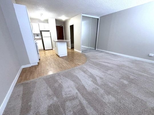 Edmonton Unfurnished apartment Rental in University & Whyte Ave - Central University Studio Perfect for Students or Professionals - Photo 1