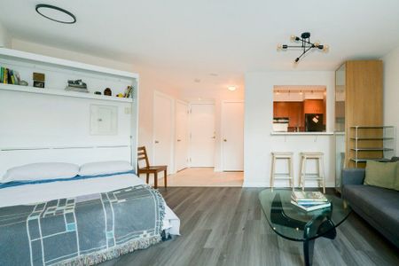 For Lease - 18 Beverley Street Unit# 327, Toronto, Ontario - Photo 4