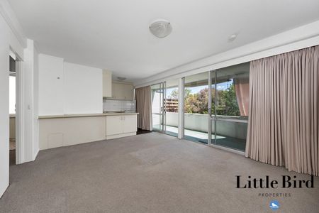 22/6 Wilkins Street, Mawson ACT 2607 - Apartment For Rent | Domain - Photo 2