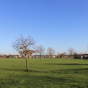 4 Bed - Gardenia Walk, Greenstead, Colchester - Photo 2