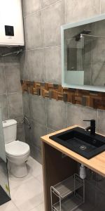 Location Appartement 2 pièces 30m² STRASBOURG 67200 - Photo 3