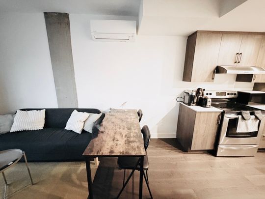Appartement à louer, Montréal (Le Plateau-Mont-Royal) - Photo 1