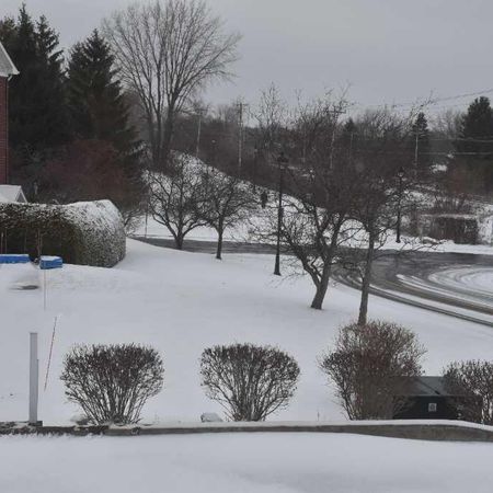 Mont-Saint-Hilaire - Condo 4 1/2 avec foyer à louer - Photo 3