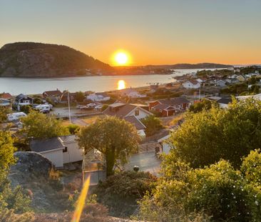 Rörtången, Kode - Photo 2