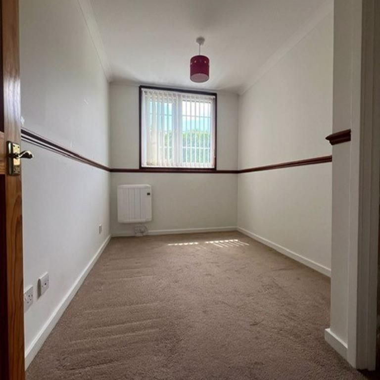 3 bedroom house to rent - Photo 1