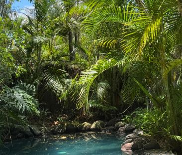 Welcome to 28 Knight Street, Rochedale South – One-Bedroom Studio L... - Photo 6