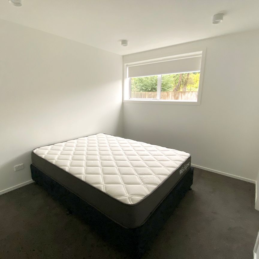 Brand-New studio rooms - 2026 - Photo 1