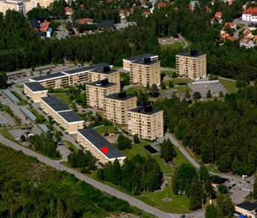 Mariboplan 10 - Photo 2