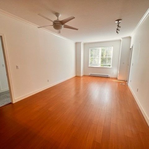 Prime Location Tsawwassen Central Lovely 2 Bed /2 Bath Condo - Photo 1