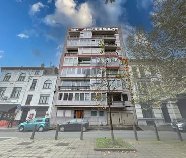 Appartement te huur - Photo 2