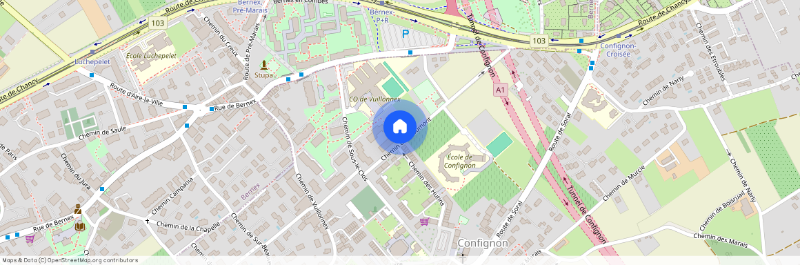 1232, Confignon, Chemin des Hutins, 42