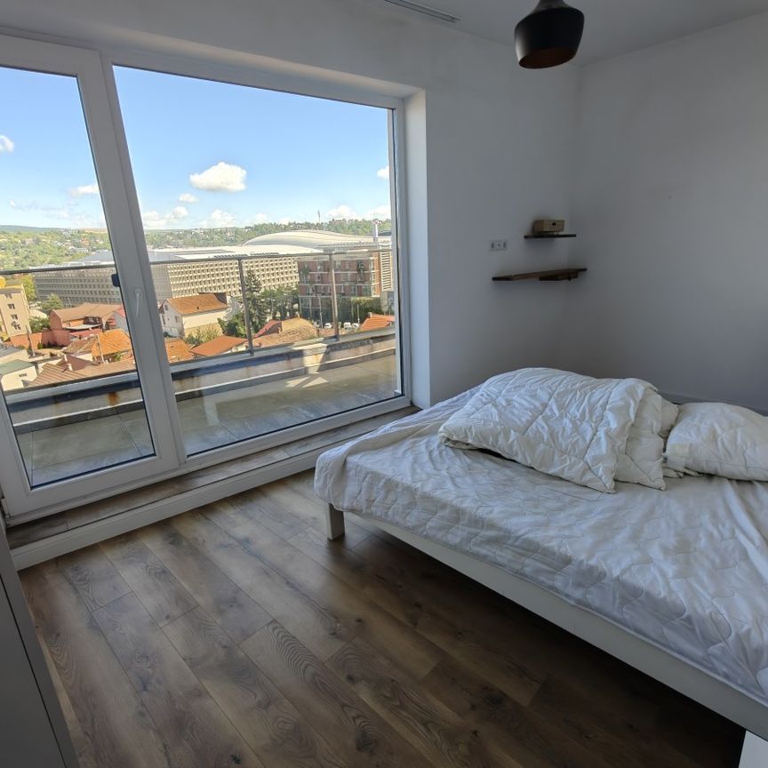 Apartment for Rent in Cluj-Napoca, 5 minute walk from the University of Veterinary Medicine and Agricultural Sciences USAMV, one bedroom, one livingroom - Photo 1