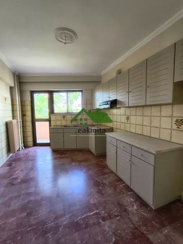Διαμέρισμα για ενοικίαση Άγιος Ελευθέριος (Άγιος Ελευθέριος - Προμπονά - Ριζούπολη) - Φωτογραφία 5