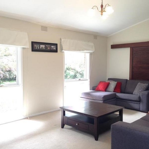 Look No Further - Photo 1