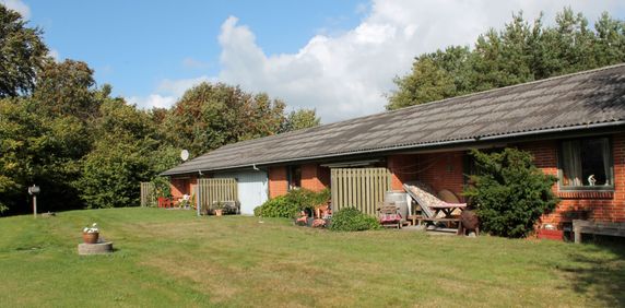 Vesterø - Læsø - Foto 2