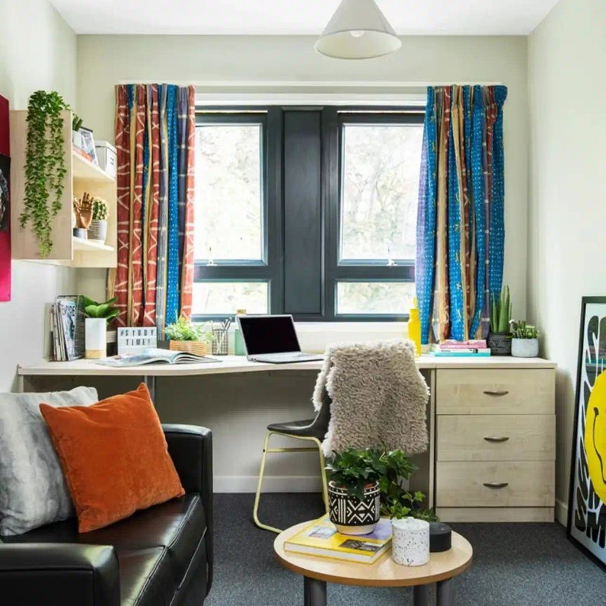 Extra Large High Double Studio - Photo 1